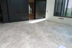 Leedon Residence (D10), Condominium #603077931